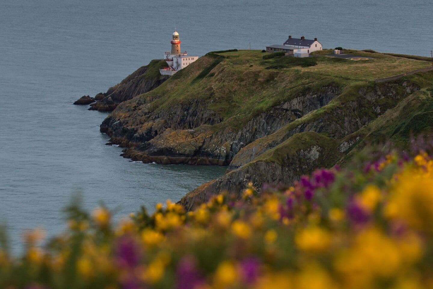 Howth Cliff Walk, image 1 of 1