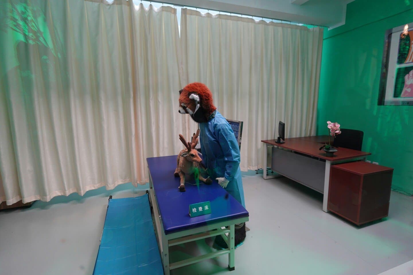 Peckham Rye Vets, image 1 of 1