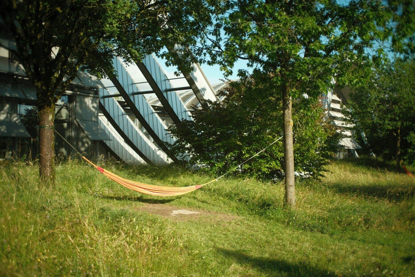 Zentrum Paul Klee, image 1 of 1