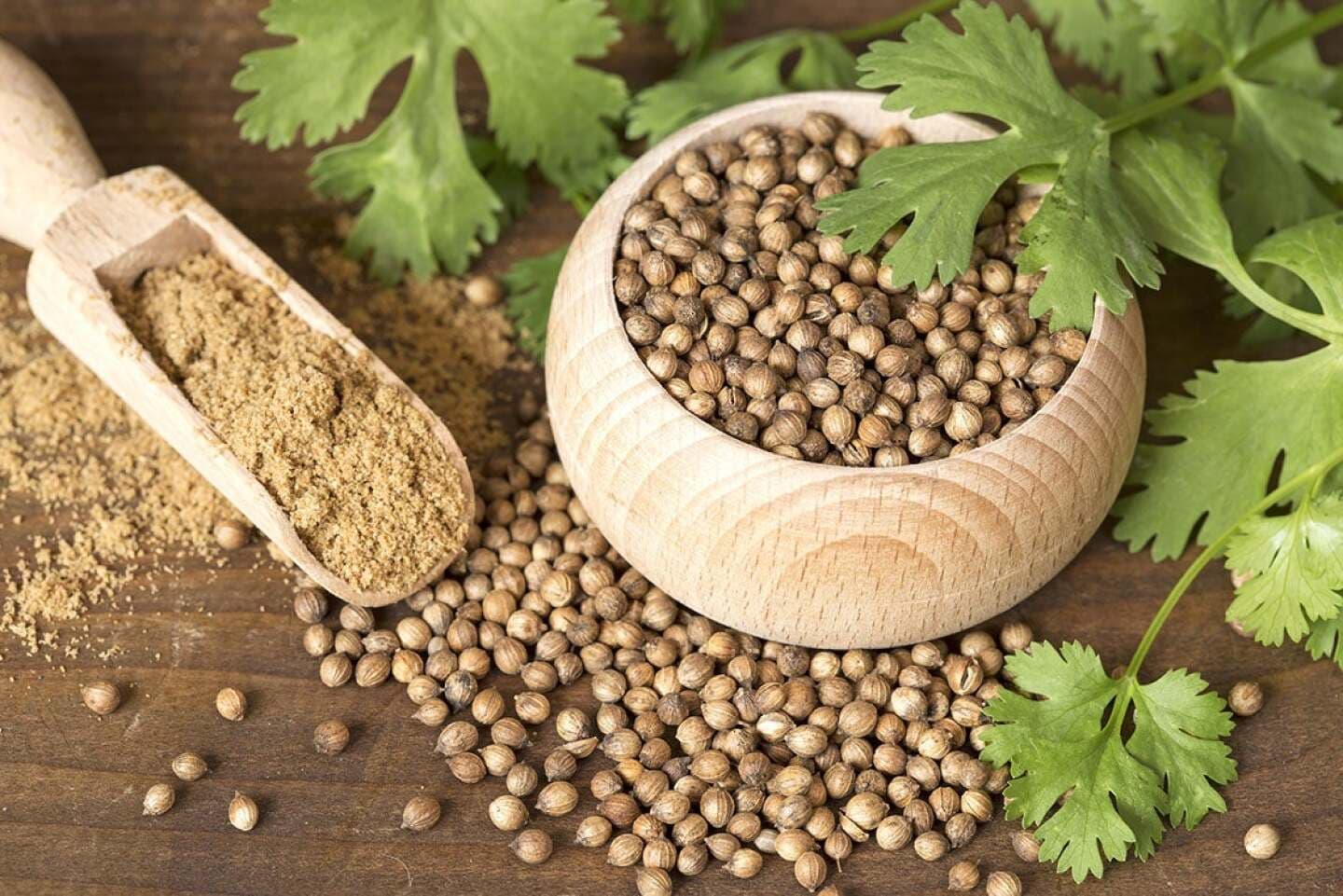 Coriander, image 1 of 1