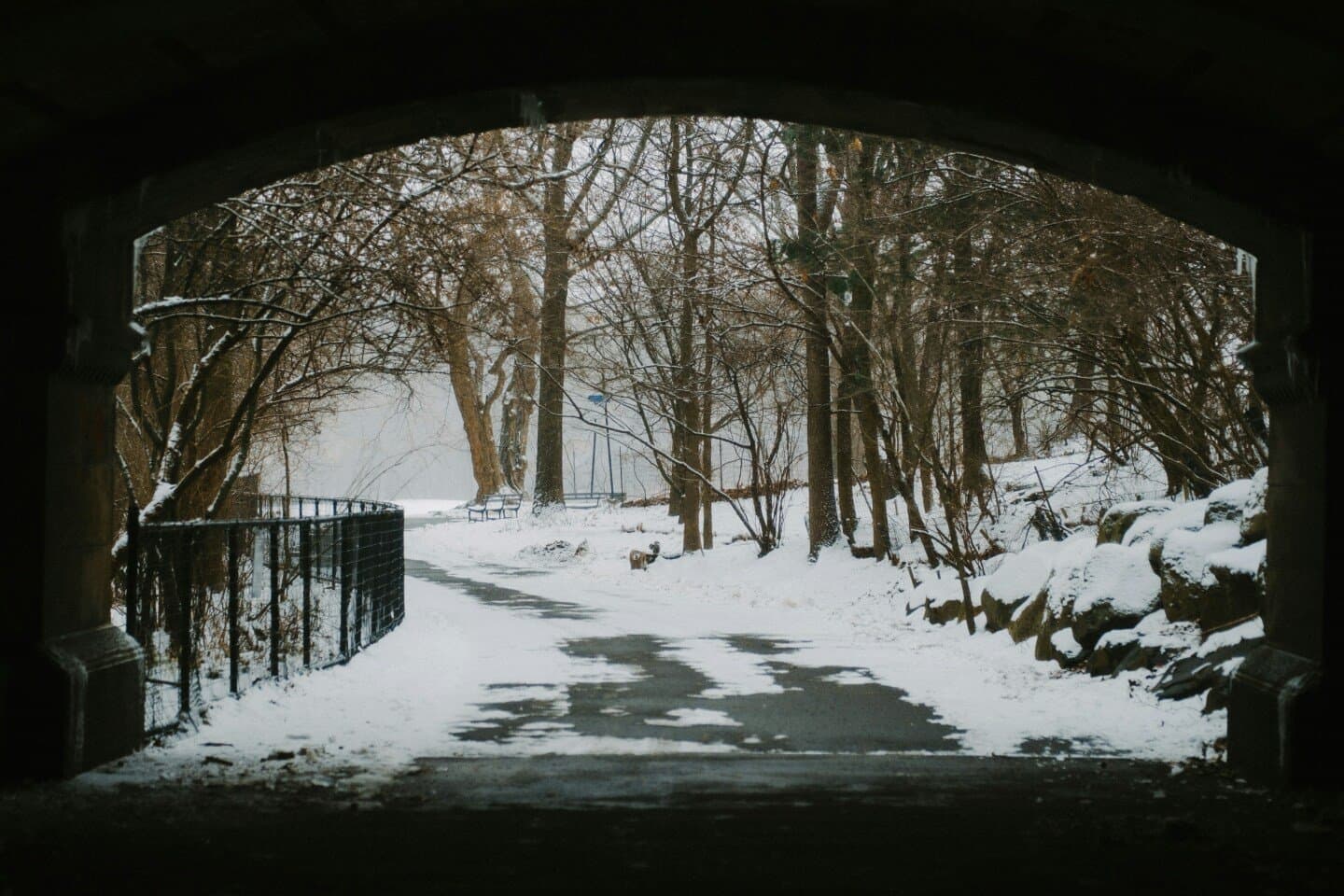 Green-Wood Cemetery, image 1 of 1