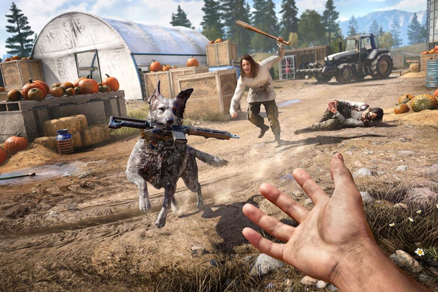 Far Cry 5, image 1 of 1