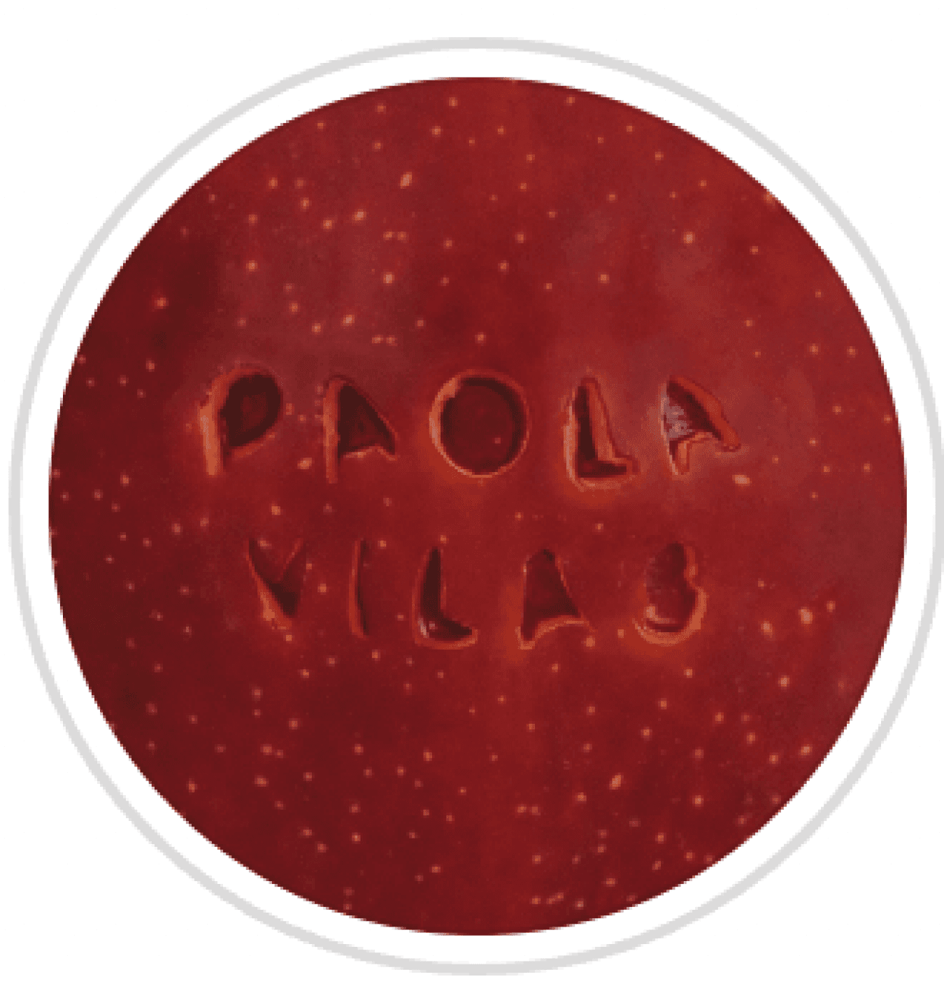 Paola Vilas, image 1 of 1