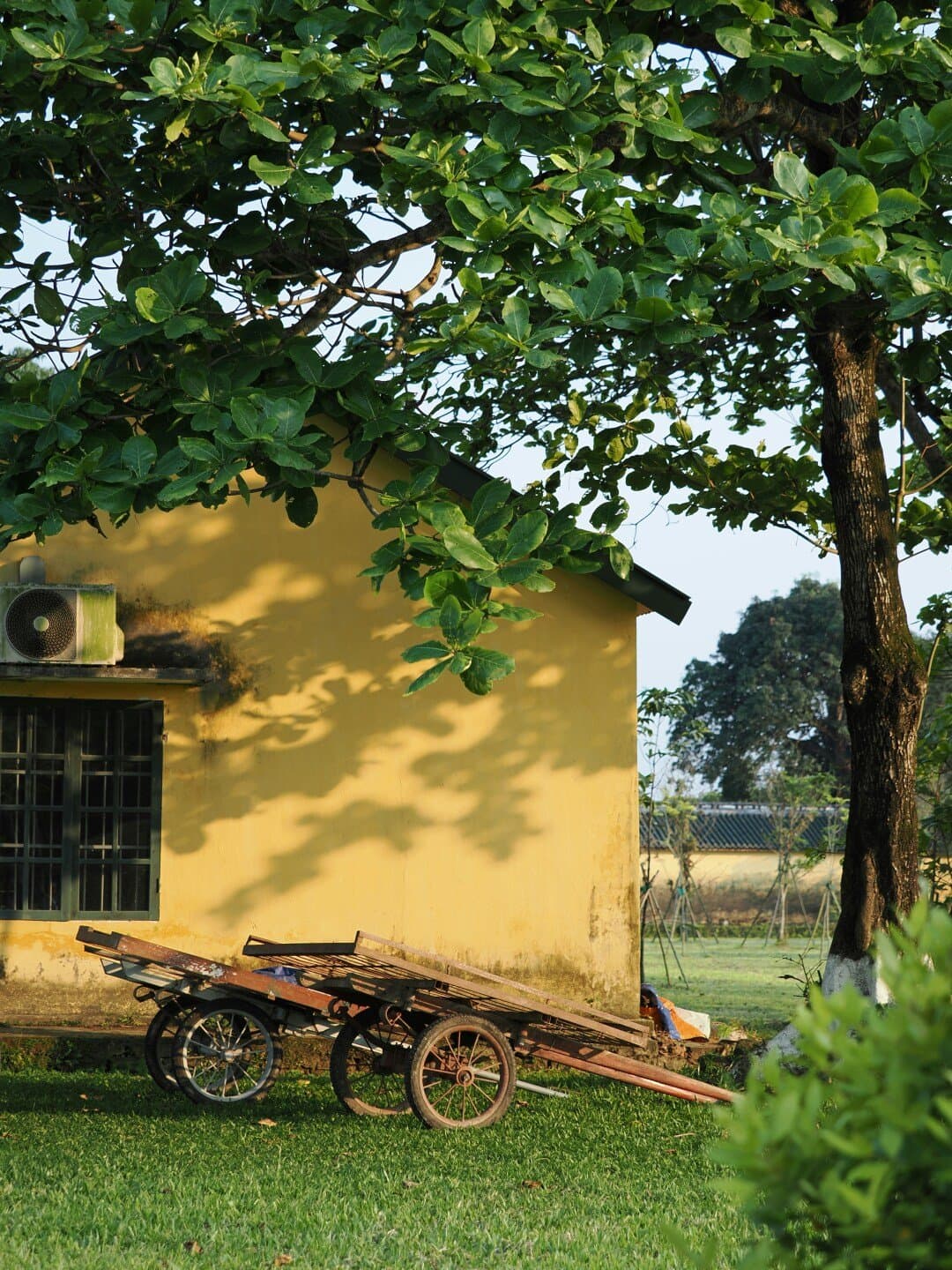 Das Raízes aos Frutos Sebo Cultural, image 1 of 1