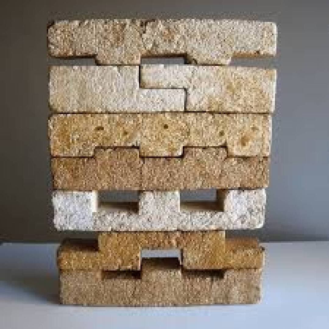 Mycelium Bricks, image 1 of 1