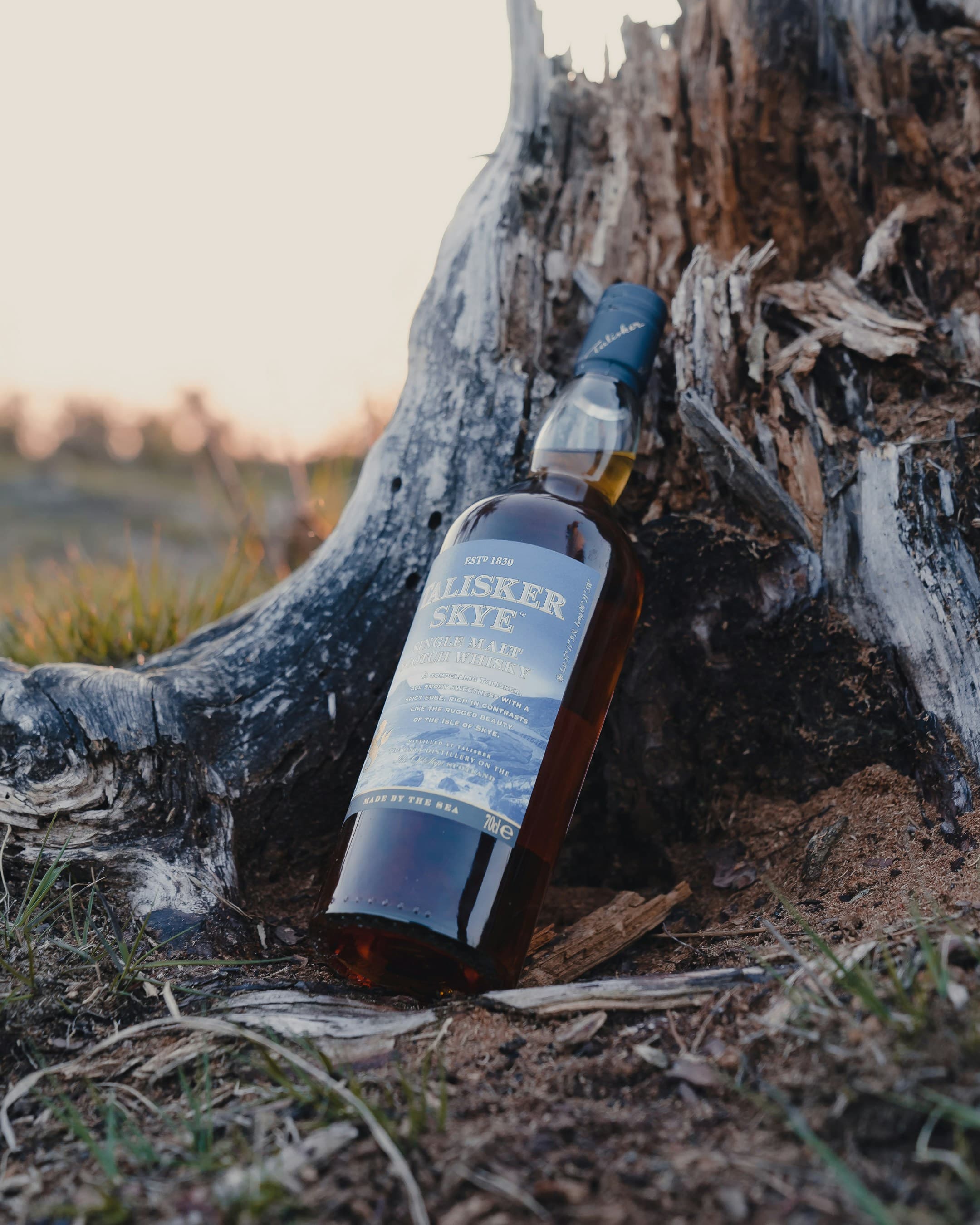 Talisker 10 Year Old, image 1 of 1