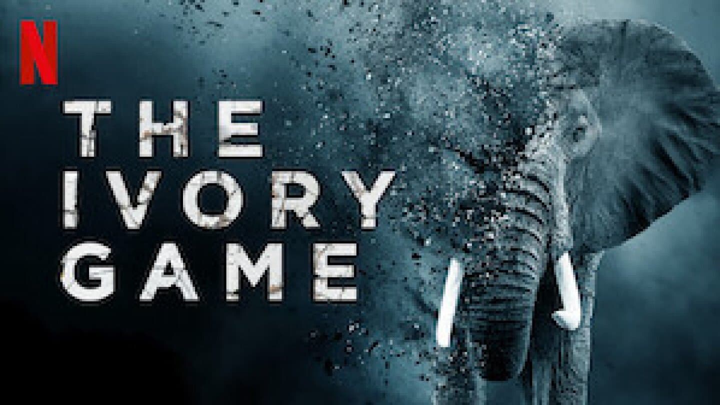 The Ivory Game, image 1 of 1