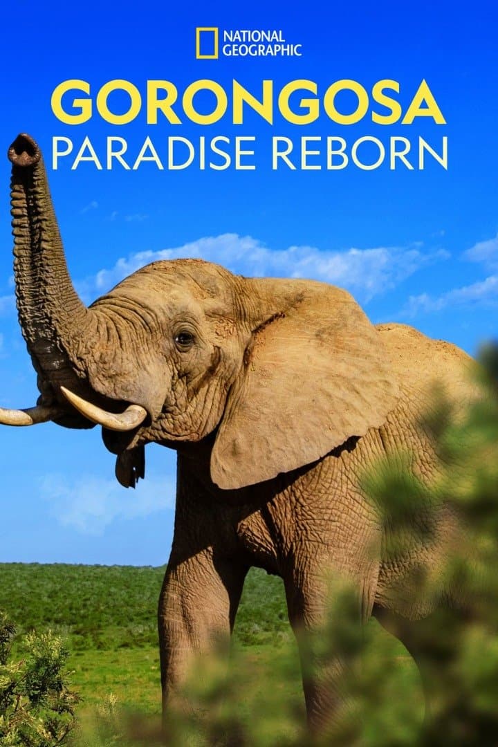 Gorongosa Park: Rebirth of Paradise, image 1 of 1
