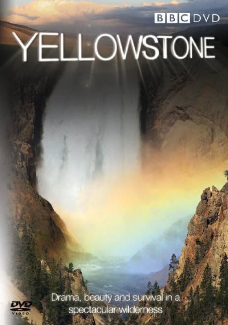 Yellowstone, image 1 of 1
