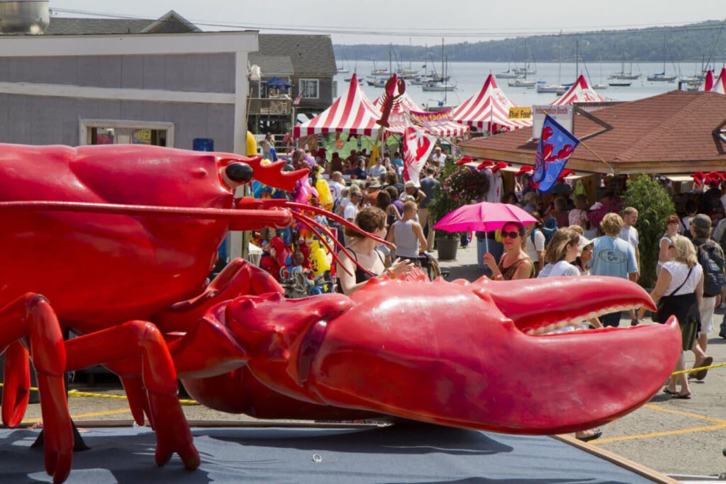 Maine Lobster Festival, image 1 of 1