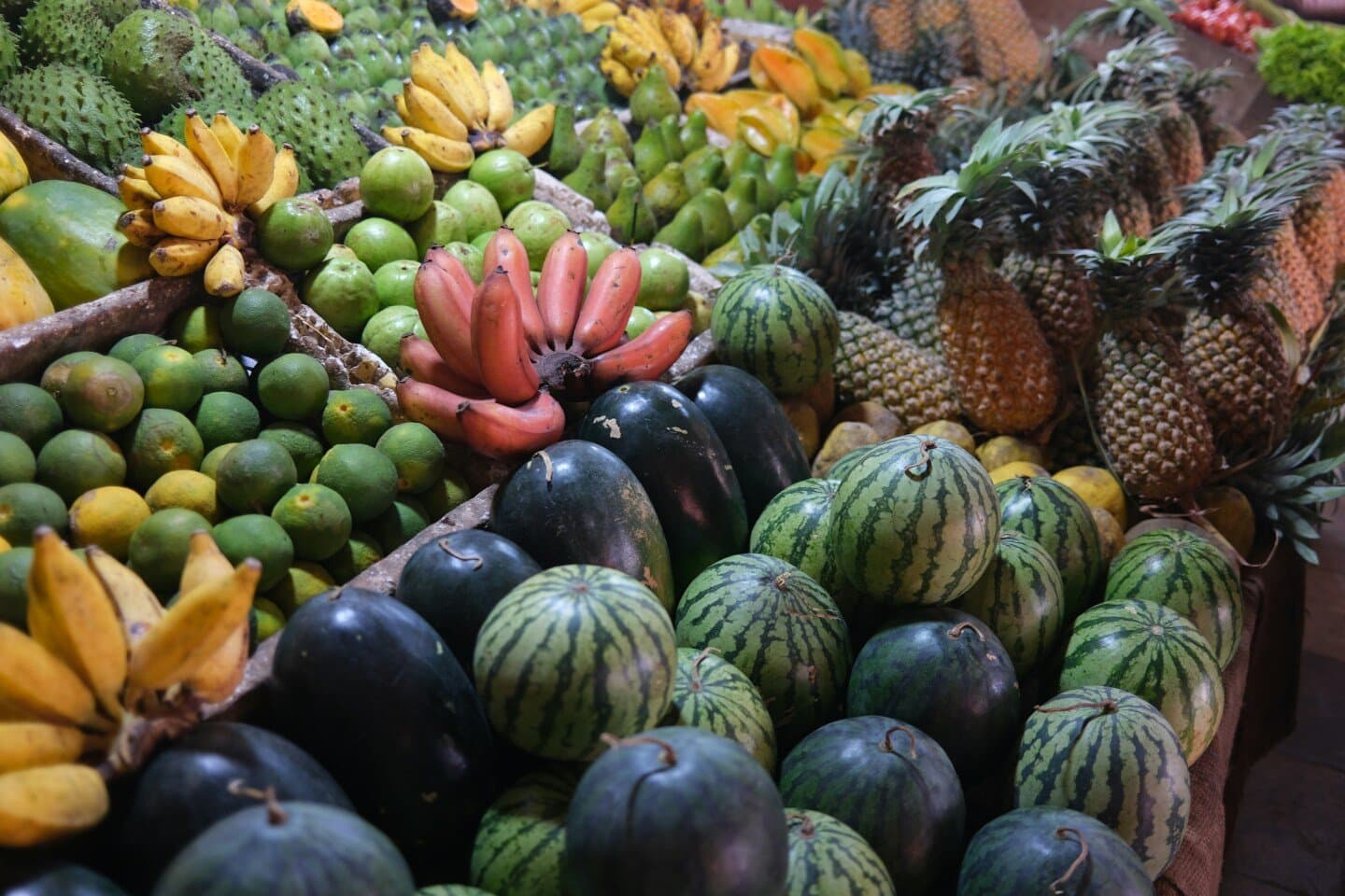 Das Raízes aos Frutos Sebo Cultural, image 1 of 1