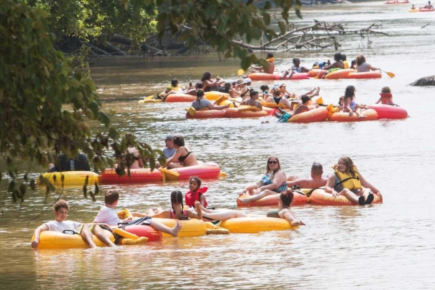 Swim/Tube in the Chattahoochee River, image 1 of 1