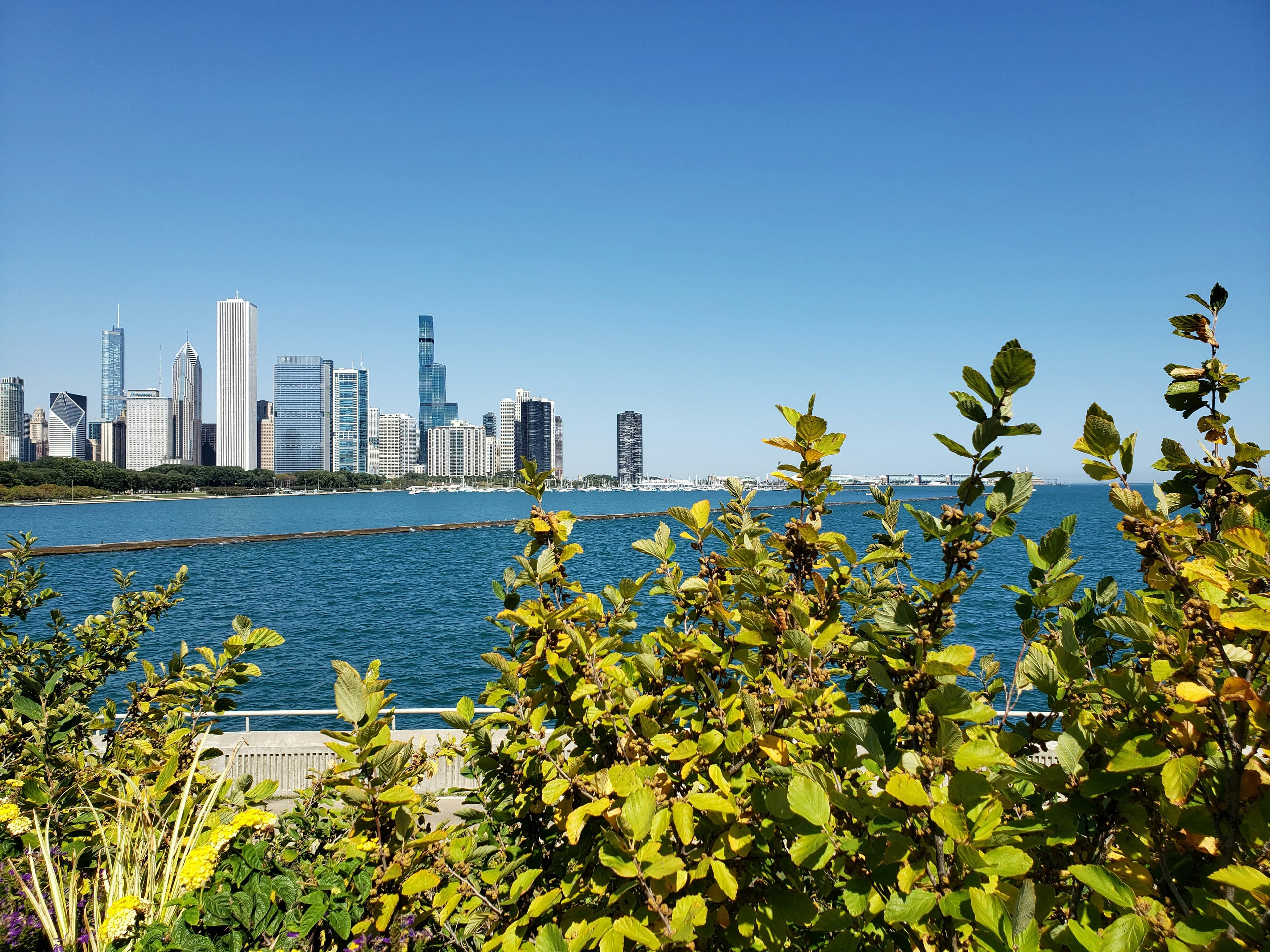 Shedd Aquarium, image 1 of 1