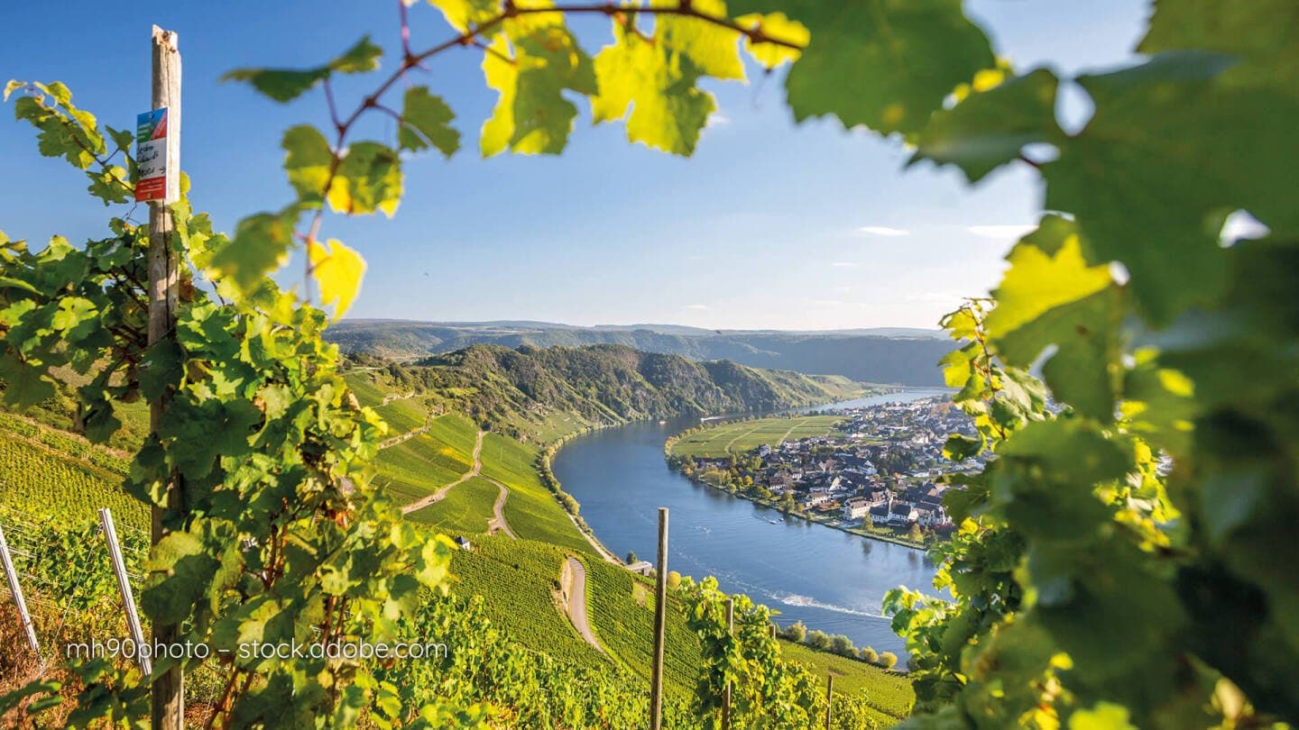 Mosel, image 1 of 1