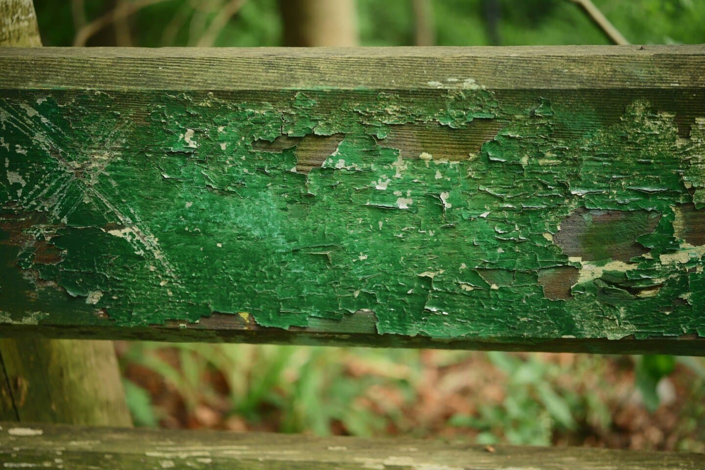 Wherever Green Is Worn, image 1 of 1