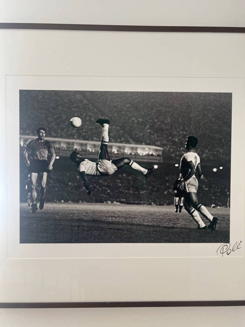 Alberto Ferreira, image 1 of 1