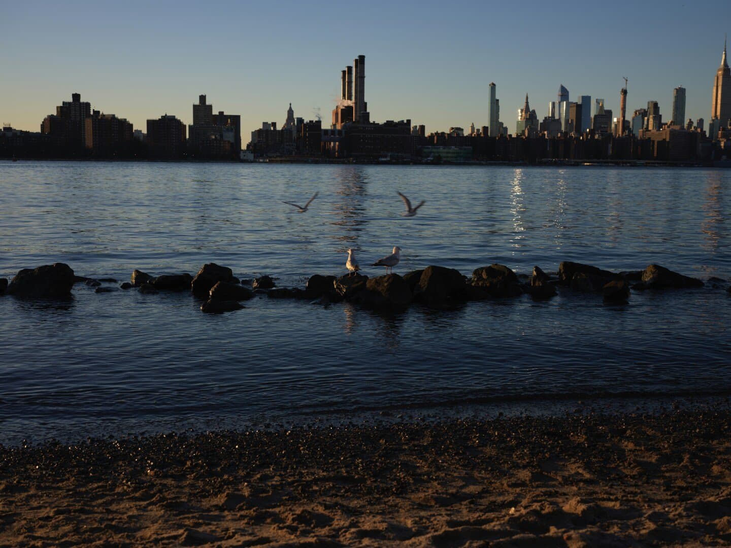 Bushwick, image 1 of 1