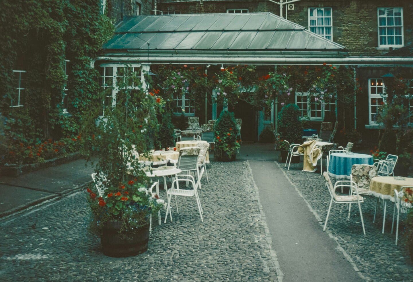 Botanic House, image 1 of 1