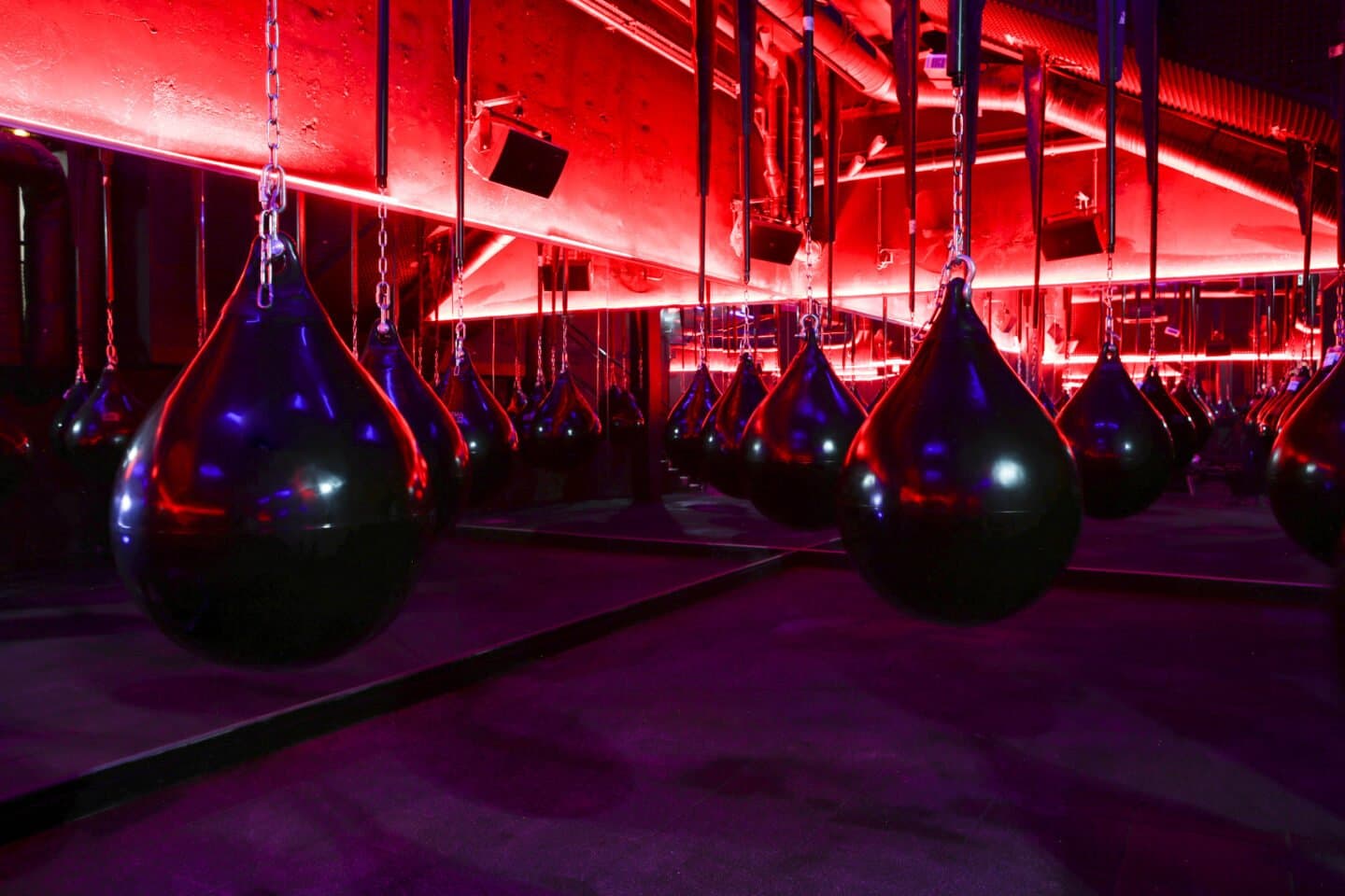 Cercle Boxing, image 1 of 1