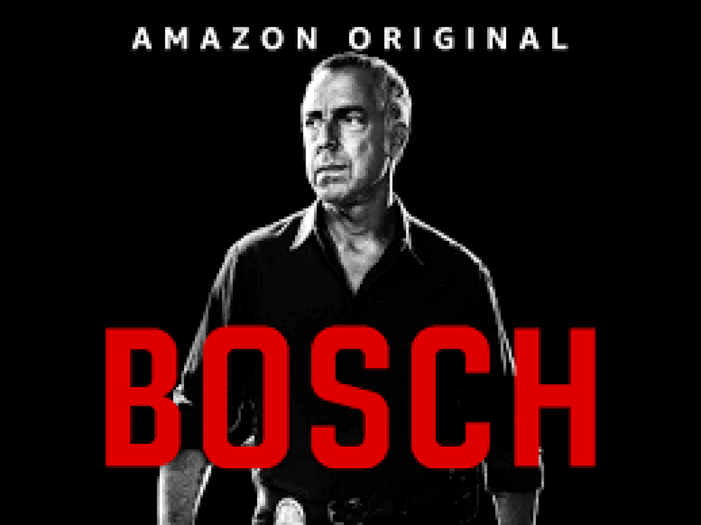 Bosch, image 1 of 1