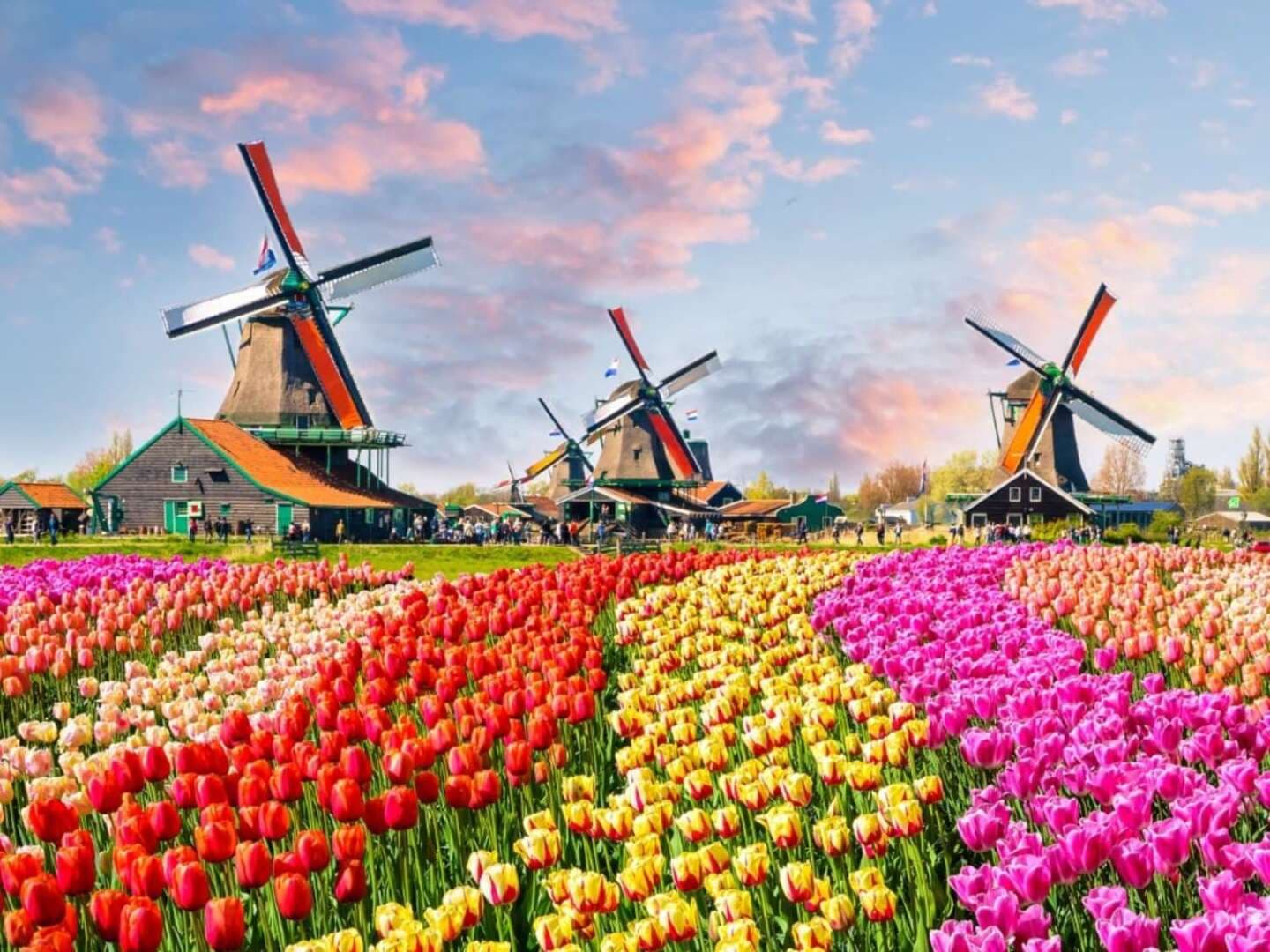 Keukenhof, image 1 of 1