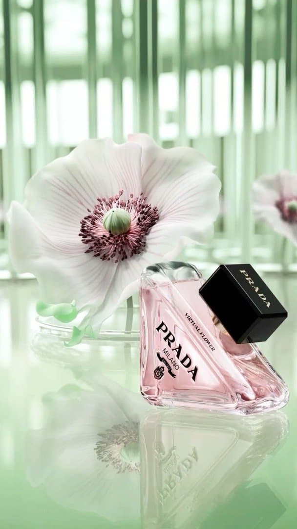 Paradox - Prada, image 1 of 1