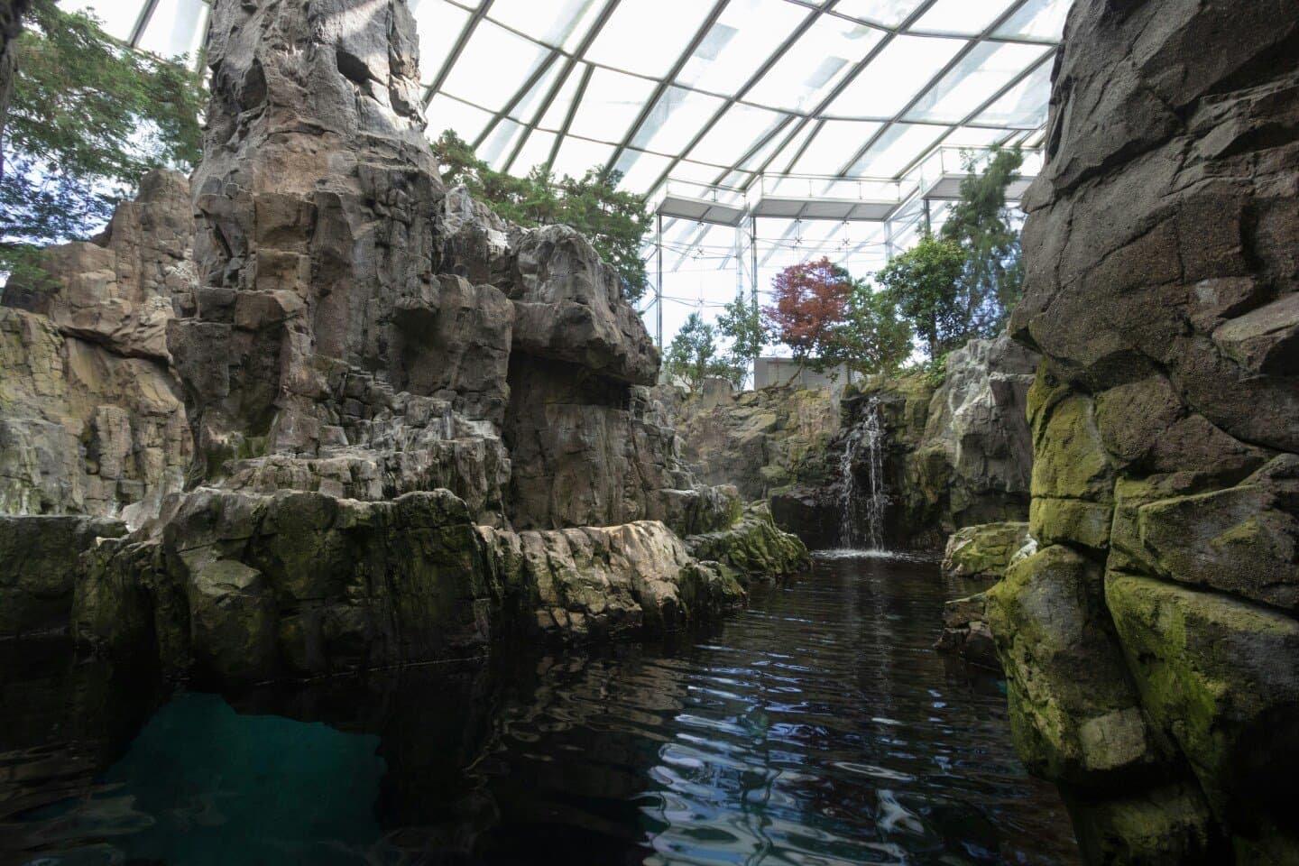 Rio Scenarium, image 1 of 1
