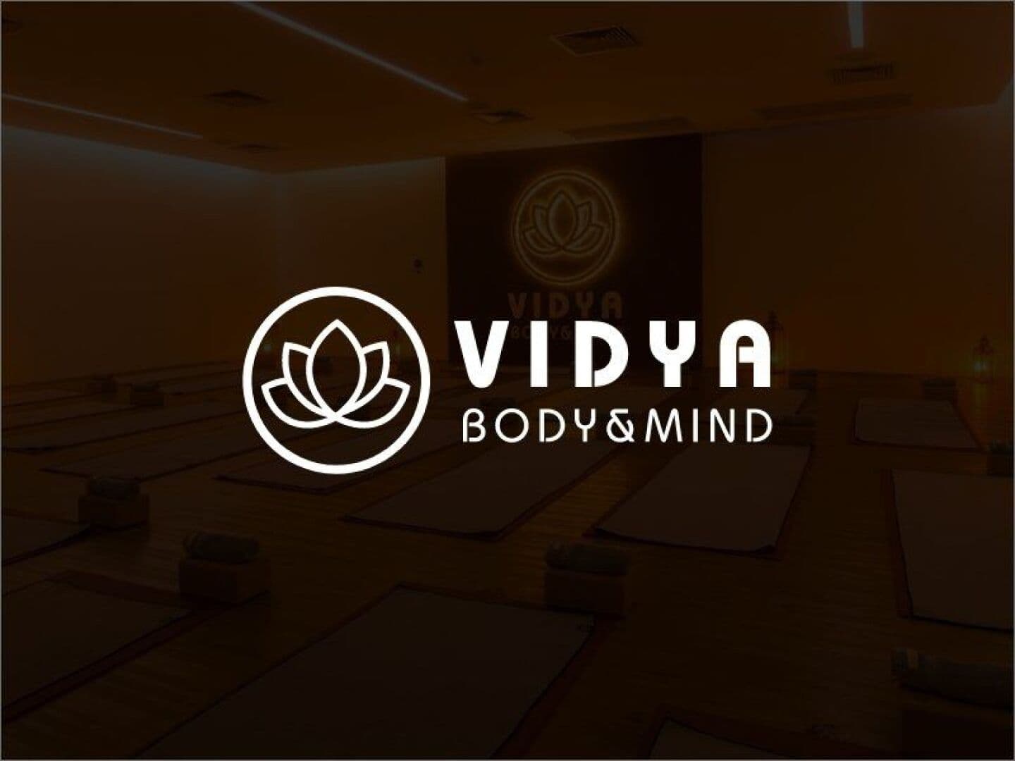Vydia Studio, image 1 of 1
