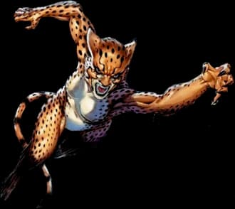 Cheetah, image 1 of 1