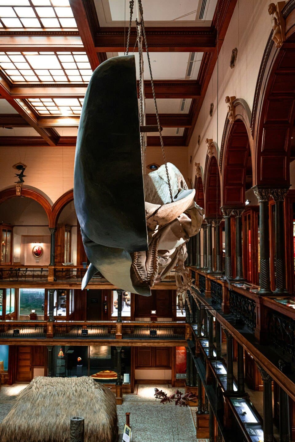 Science Museum – Medicine: The Wellcome Galleries, image 1 of 1
