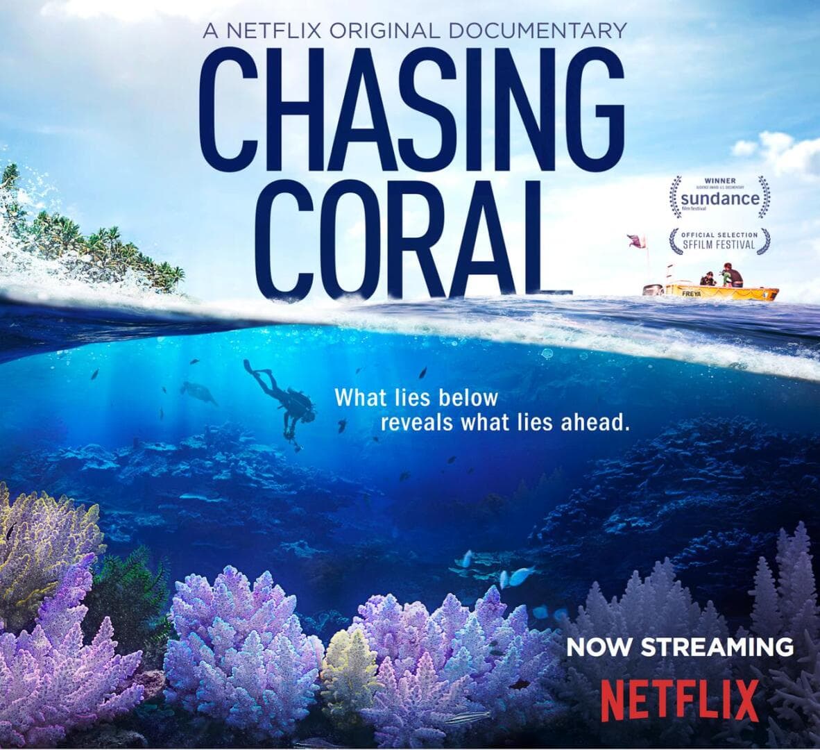 Chasing Coral, image 1 of 1