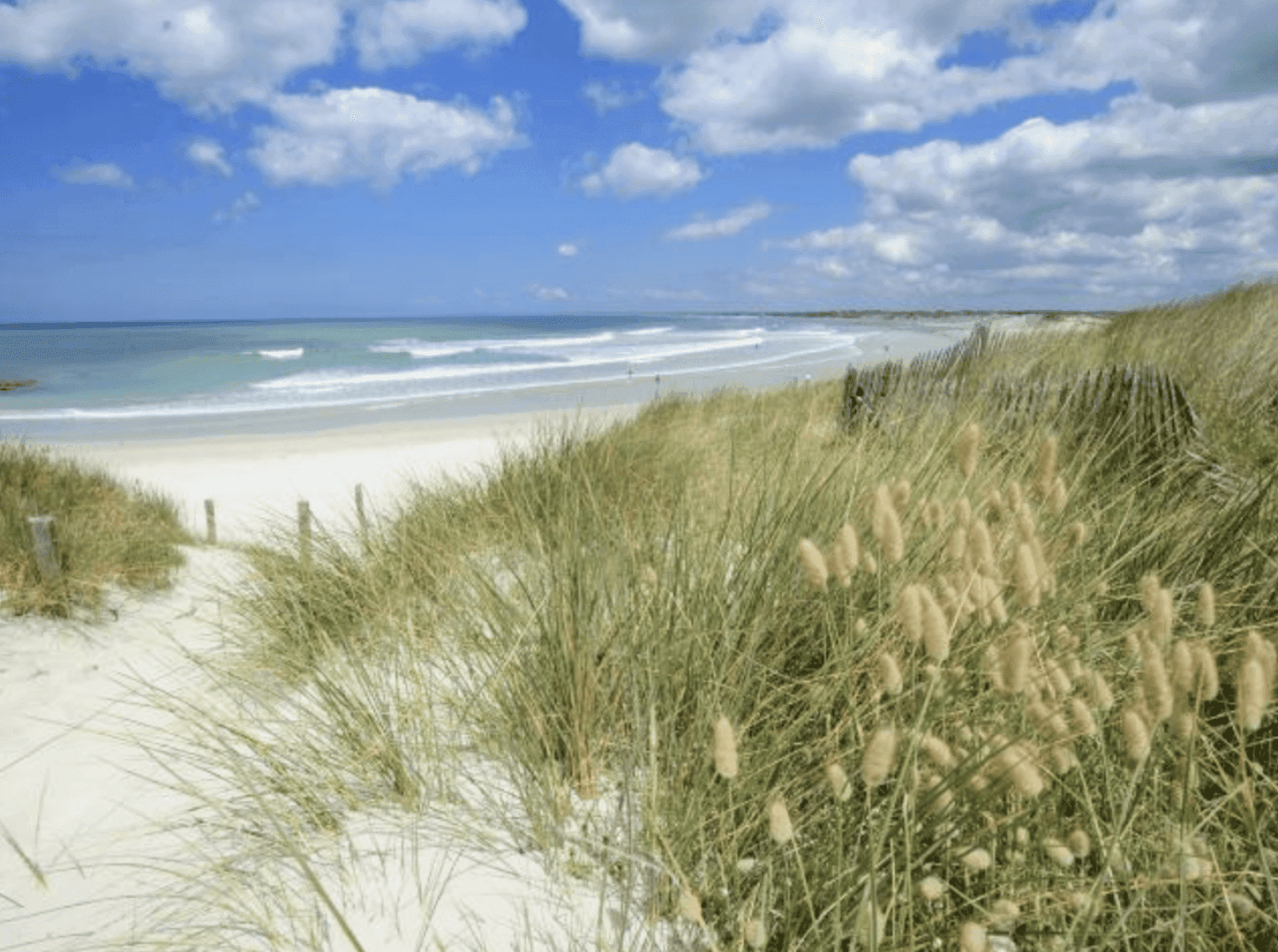 La Torche, image 1 of 1