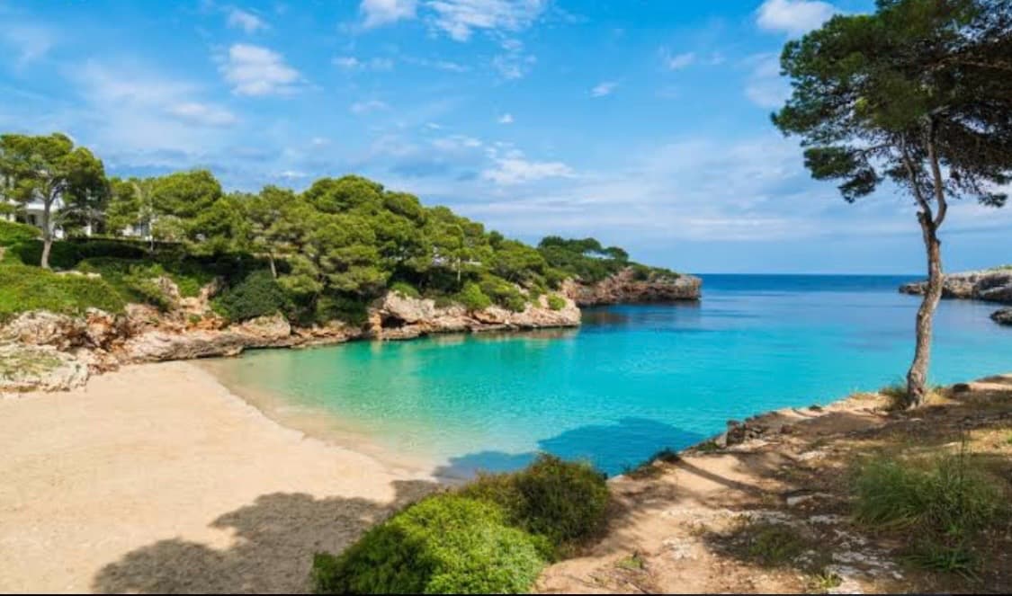 Cala Dor, image 1 of 1