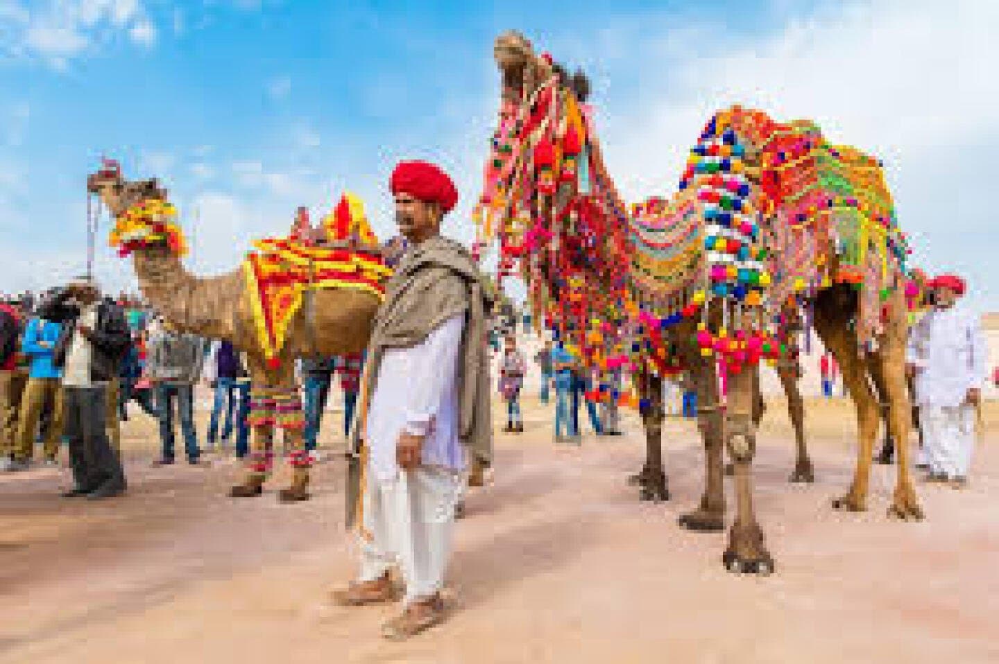Experience the Pushkar Camel Fair, image 1 of 1