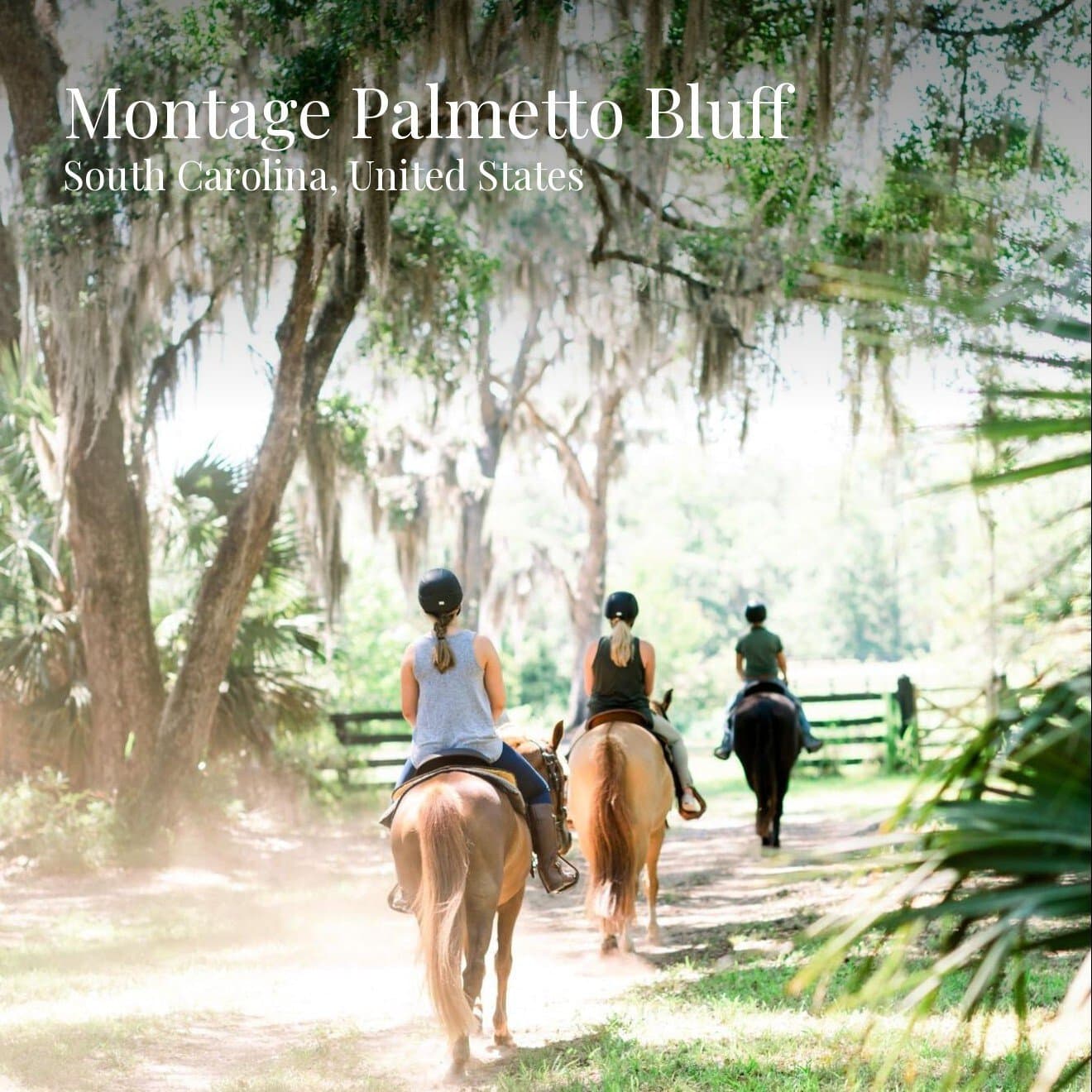 Montage Palmetto Bluff, image 1 of 1