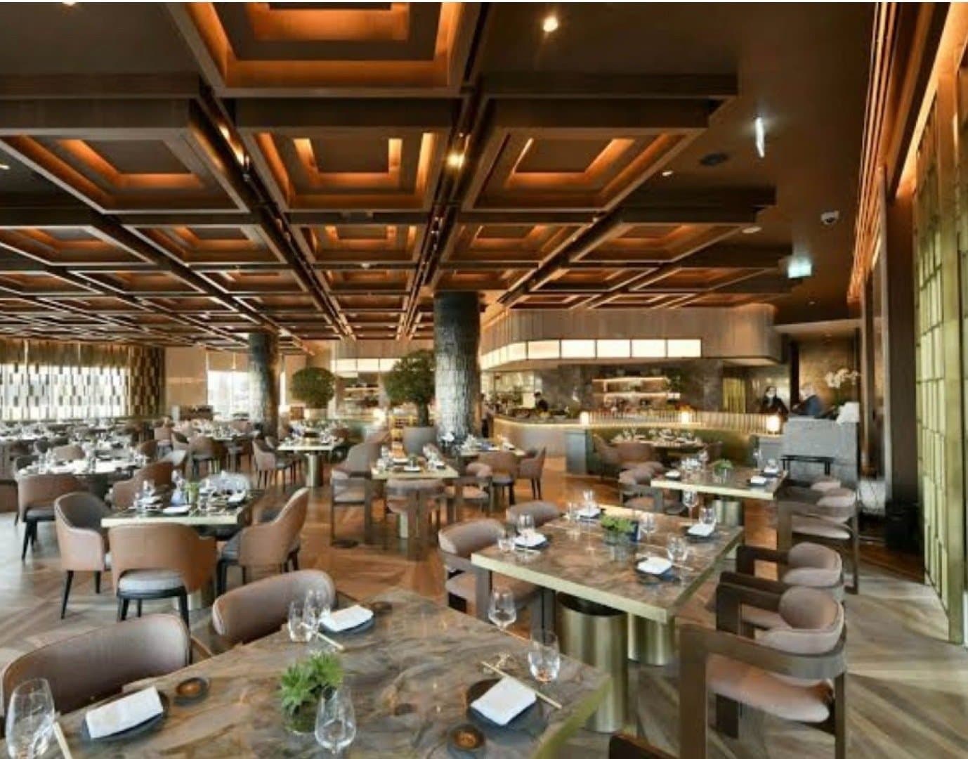 Novikov, image 1 of 1