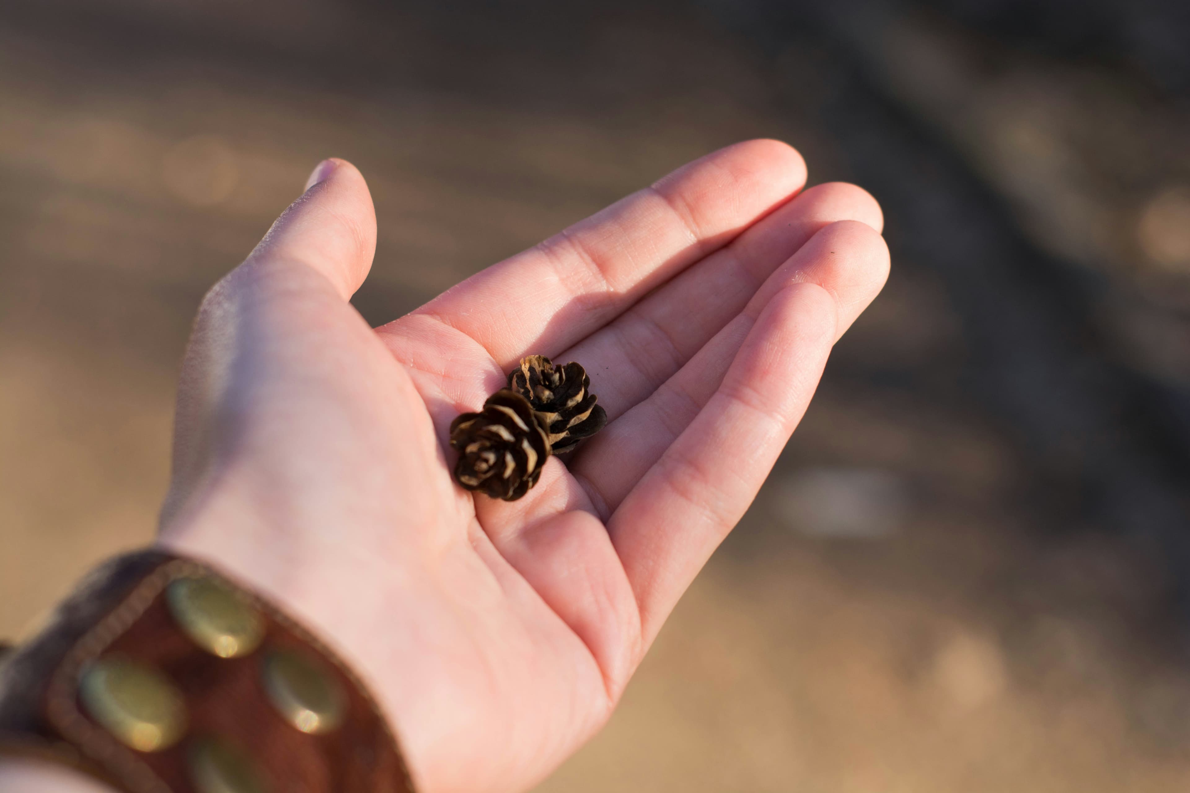 Small Things Like These, image 1 of 1