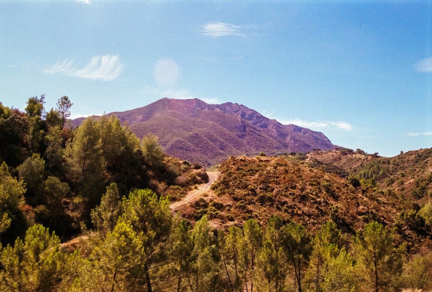 The Farm Marbella, image 1 of 1