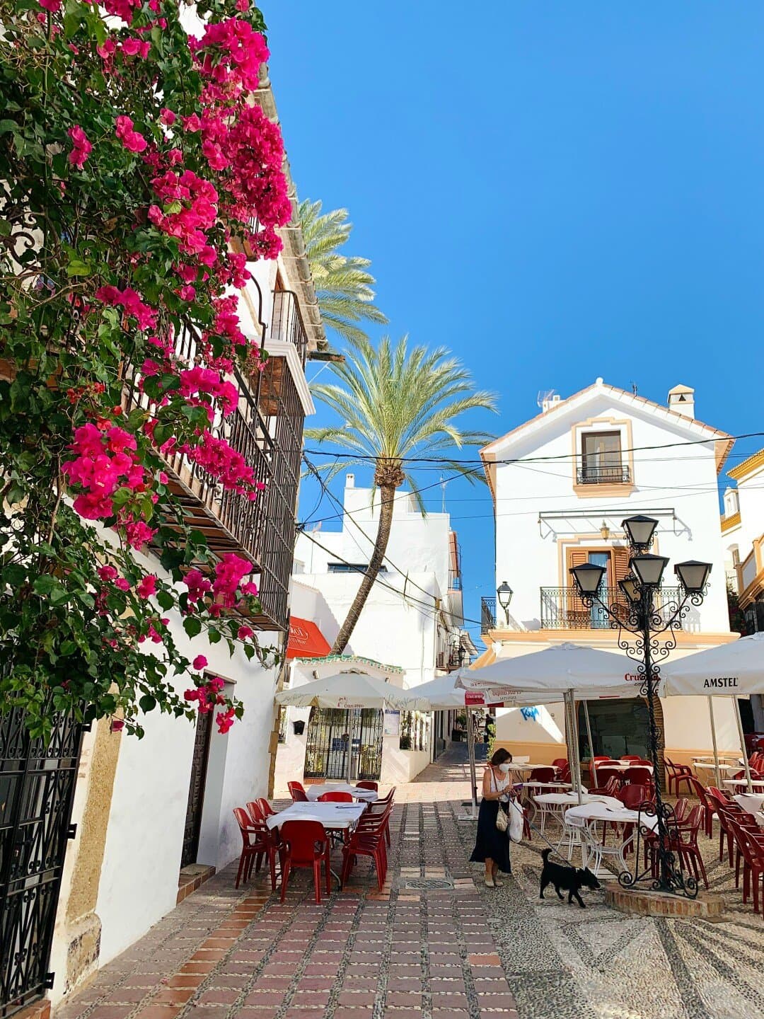 Vinoteca del Sol, image 1 of 1