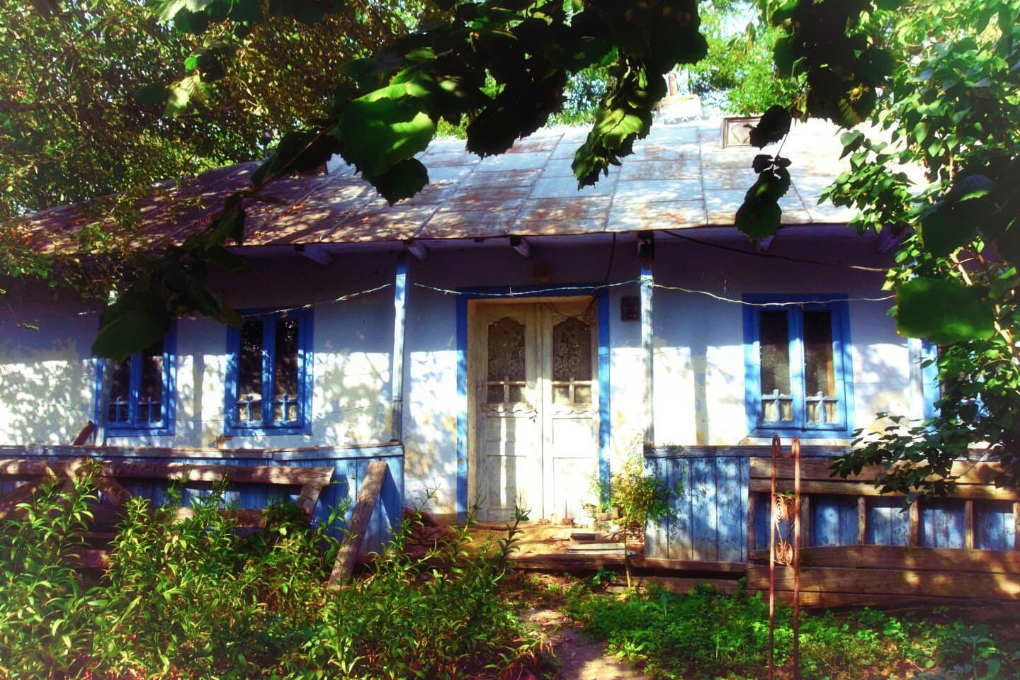 Past Lives, image 1 of 1
