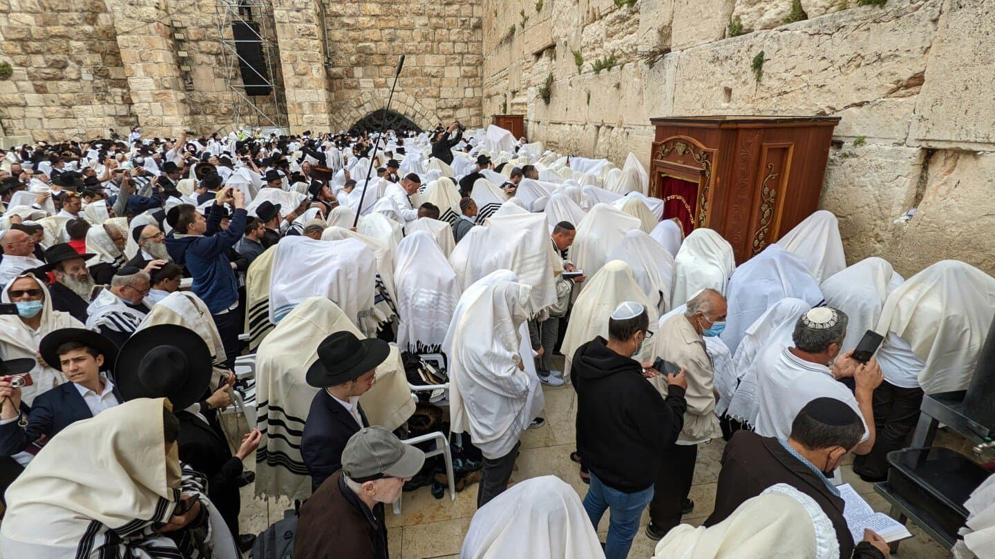 נבחרת ישראל (כשחקן), image 1 of 1