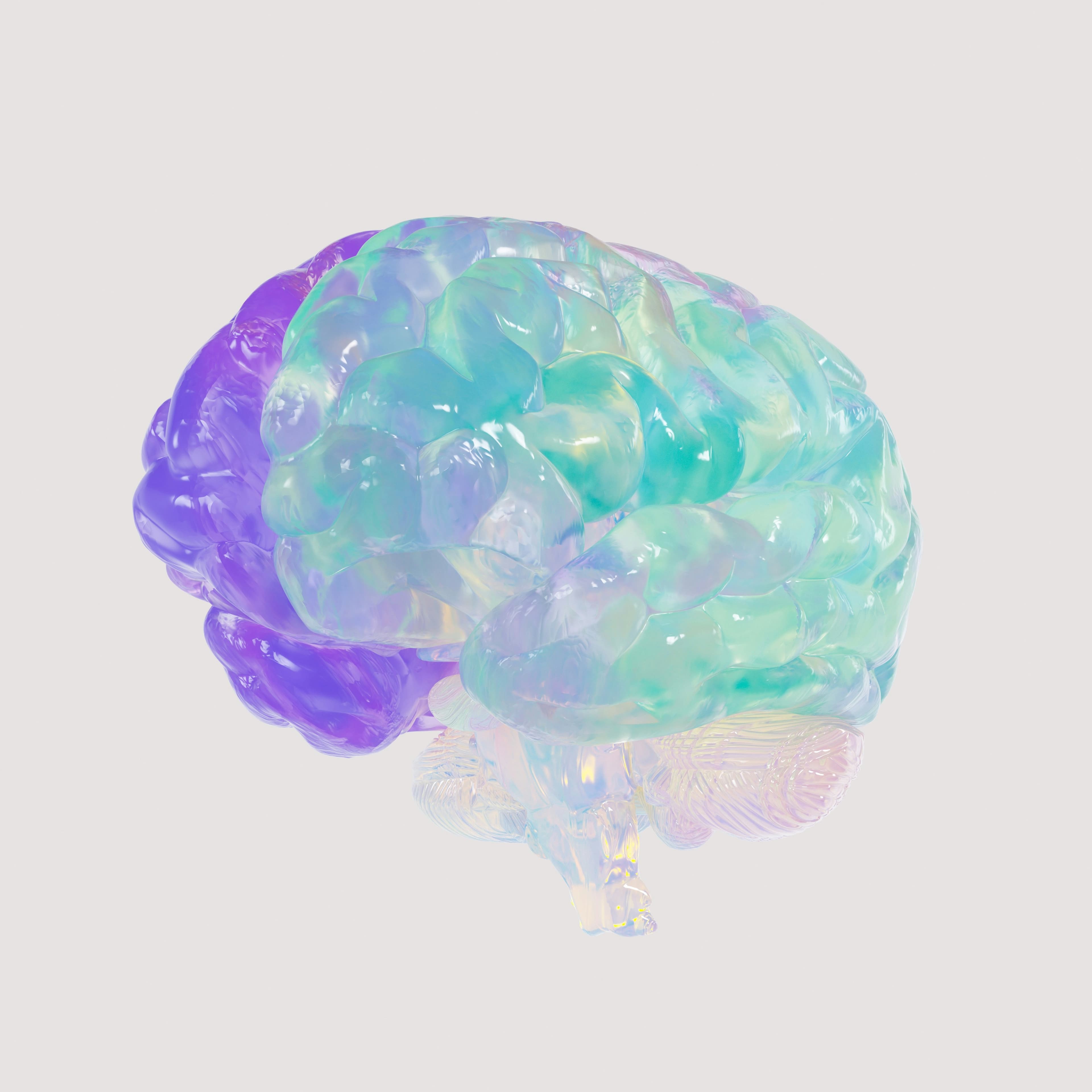 Default Mode Network and Resting-State, image 1 of 1