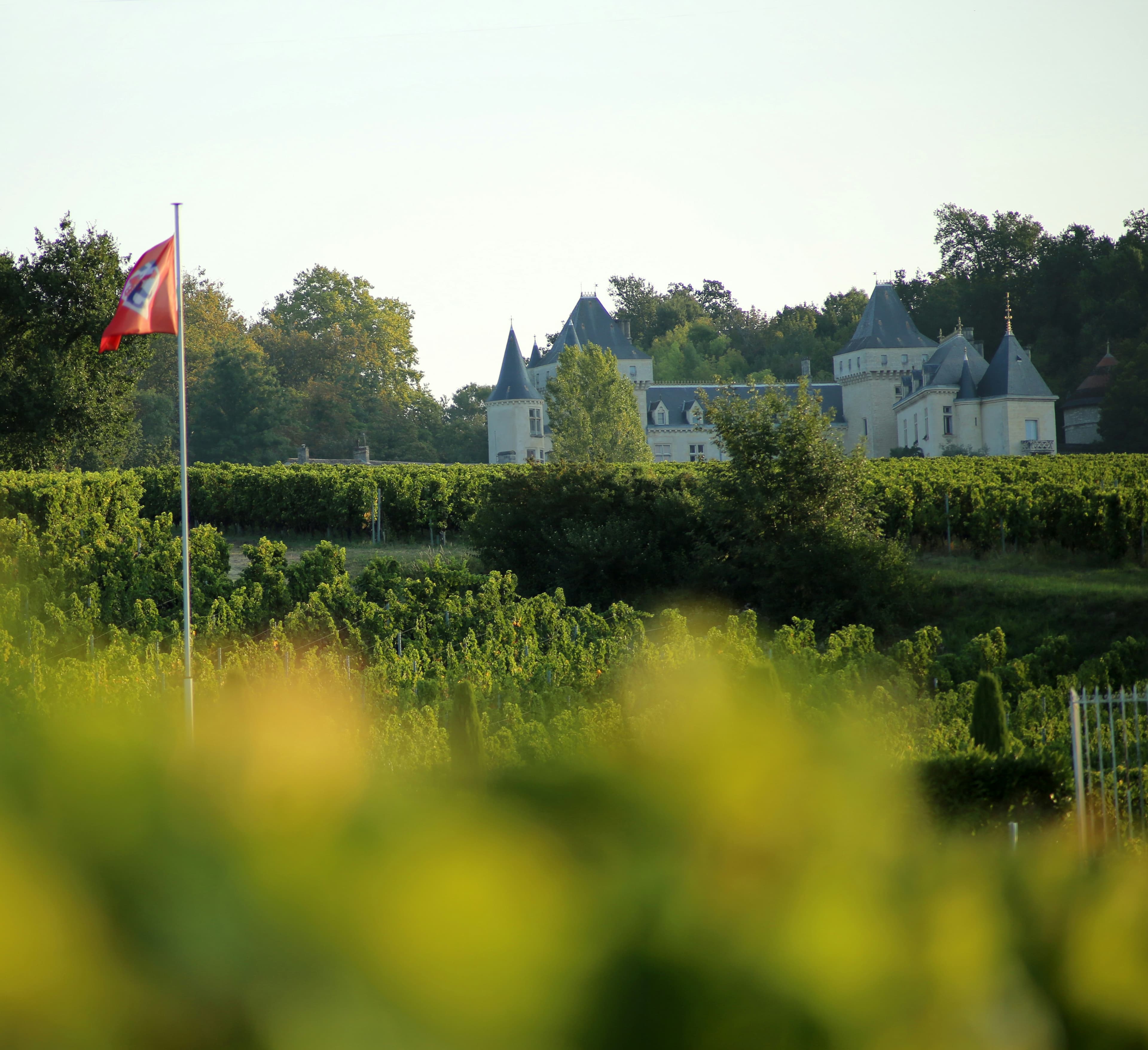 Château Ste. Michelle Riesling, image 1 of 1