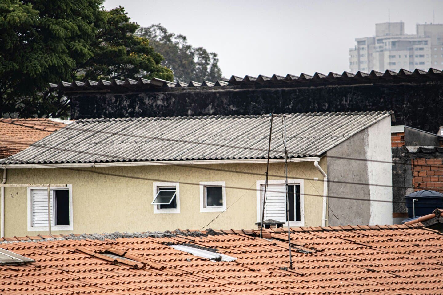 A Casa do Porco, image 1 of 1