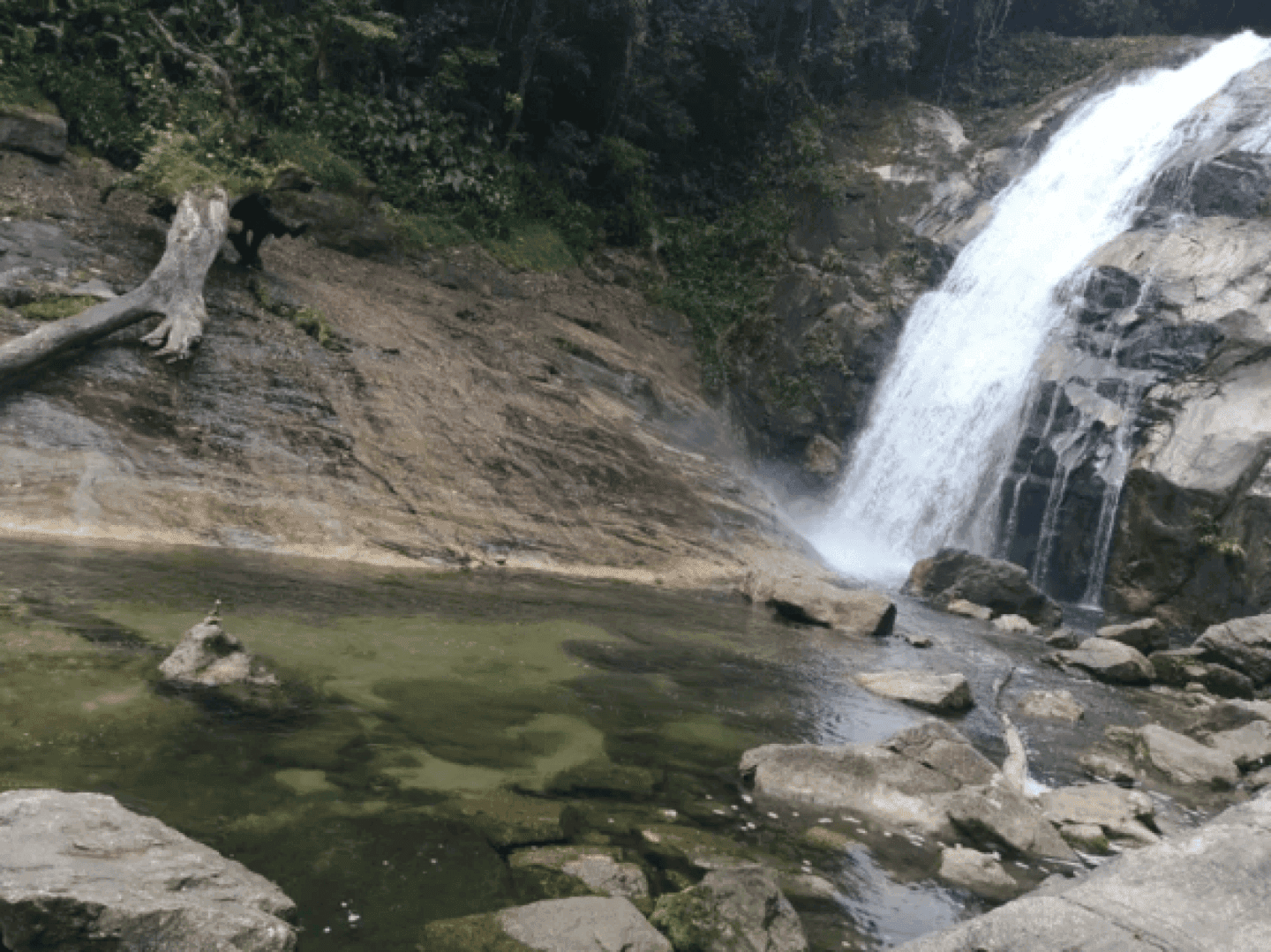 Itu Waterfall Trail, image 1 of 1