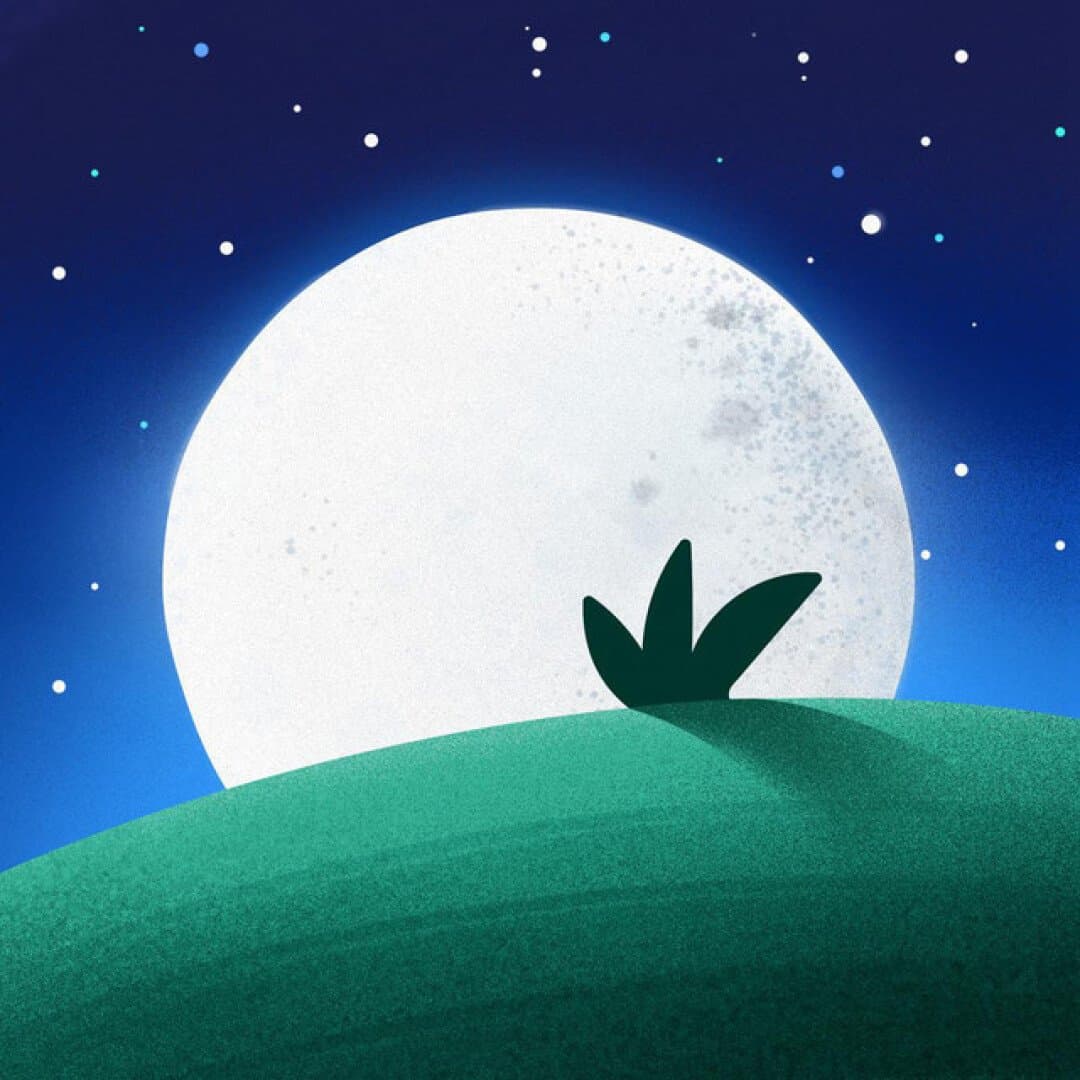 Relax Melodies, image 1 of 1