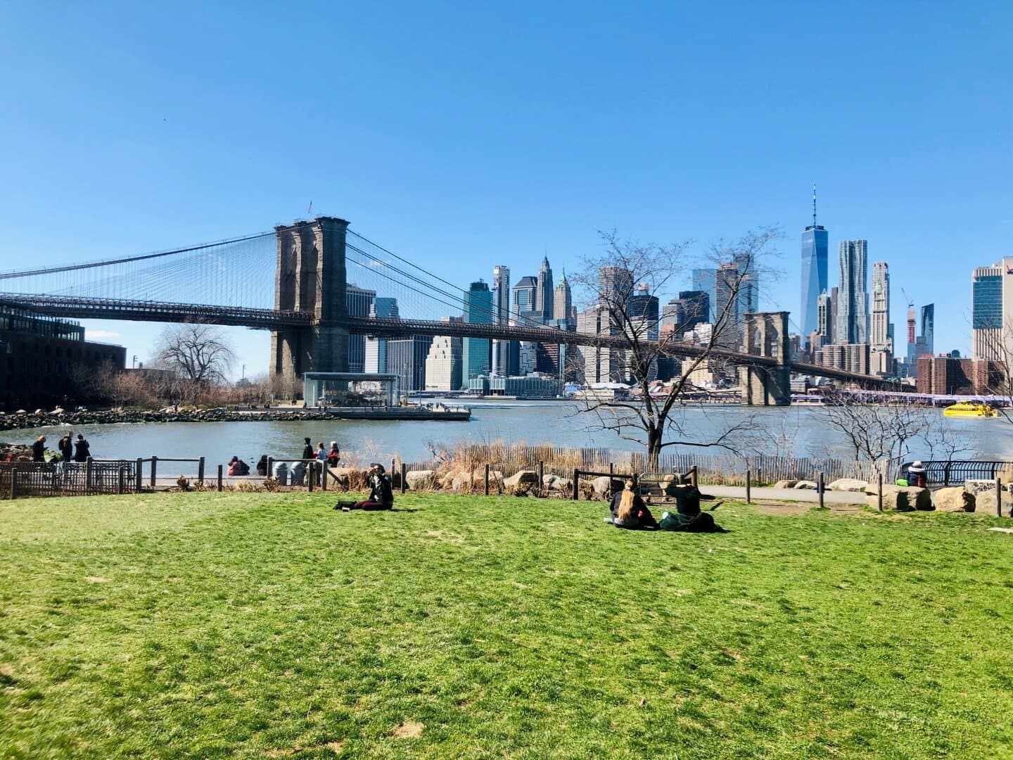 Brooklyn Bridge Park Pier 5 Fields, image 1 of 1