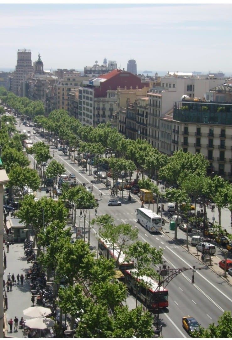 Paseo de Gracia, image 1 of 1