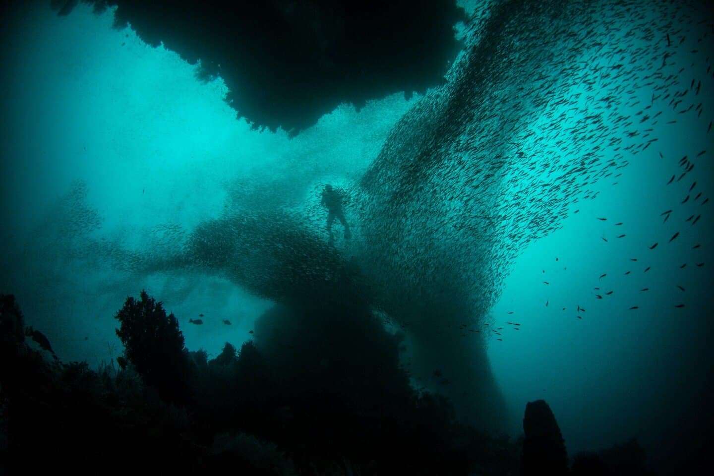 Below, image 1 of 1