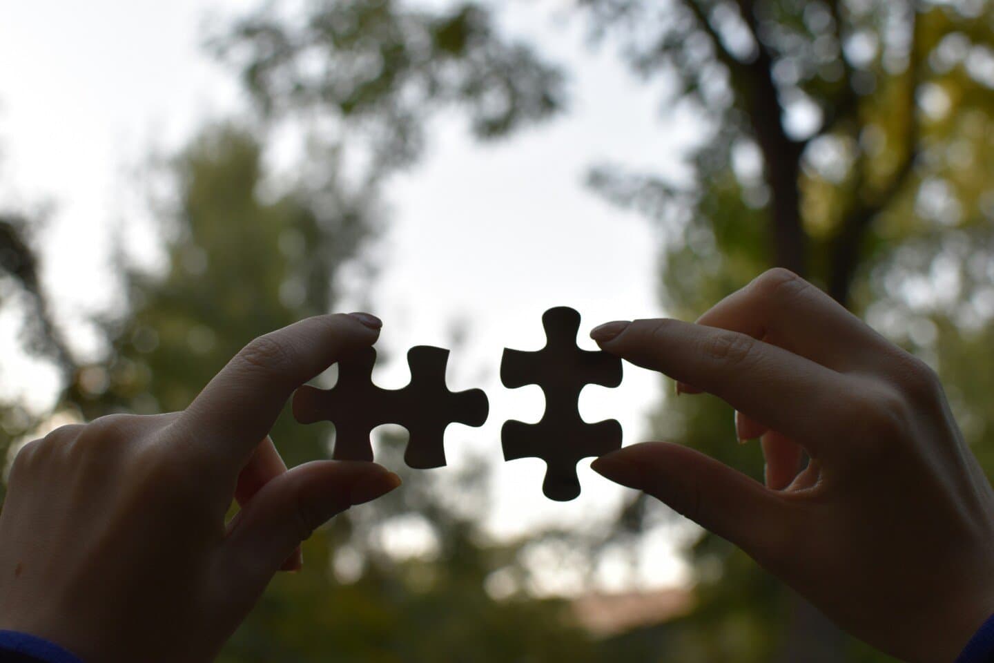 The puzzle of motivation, image 1 of 1